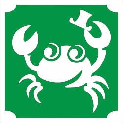  5x5 cm-es Csillámtetoválás sablon - Rák 342 - mkkreativ