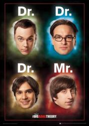 Pyramid Tablou Art Print Pyramid Television: The Big Bang Theory - Dr. Mr (LFP10748P)