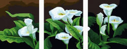 Ipicasso Set 3 picturi pe numere, cu sasiu, Cale albe, 50x120 cm (PC34050014) Carte de colorat