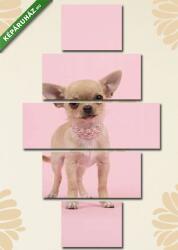 Többrészes Vászonkép, Premium Kollekció: Aranyos chihuahua kutya kutya visel egy gyöngy nyaklánc állt a (135x70 cm, S01)