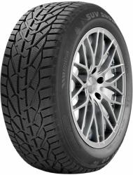 Riken Snow 225/45 R17 91H