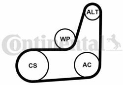 Continental Ctam Set curea transmisie cu caneluri CONTINENTAL CTAM 6PK1019 ELAST T2 (6PK1019 ELAST T2) - automobilus