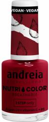 Andreia Professional Color Care & Colour NC32 Bordeaux 10,5 ml (AND0UNC032)