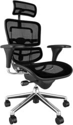 Antares Scaun ergonomic de birou Ergohuman Mesh negru (W09-01)