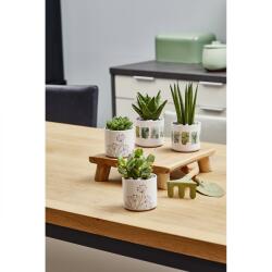 Soendgen Keramik Ghiveci ceramica, Las Vegas Greenery (SK-0631-0008-8131)