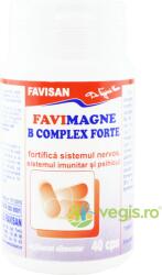 FAVISAN Favimagne B Complex Forte 40cps