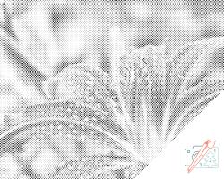  PontPöttyöző - Vízcsepp egy liliomon Méret: 40x50cm, Keretezés: Keret nélkül (csak a vászon), Szín: Piros