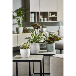 Soendgen Keramik Ghiveci ceramica, Bergamo Pure (SK-0252-0013-0050)