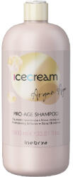 Inebrya Ice Cream Argan Age șampon pe bază de ulei de argan pentru strălucirea părului 1000 ml