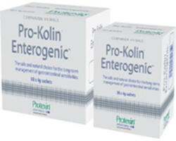 Vetri-Care Protexin pro-kolin enterogenic 60*4 g