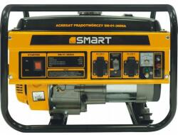 smart 01-3600A