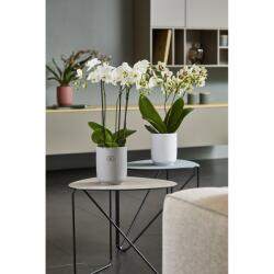 Soendgen Keramik Ghiveci ceramica, Falun (SK-0193-0015-0847)