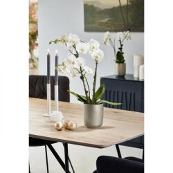 Soendgen Keramik Ghiveci ceramica, Falun Glamour (SK-0193-0015-1857)