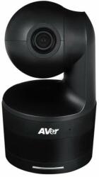AVerMedia DL10 Camera web