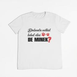  Dalmata nélkül lehet élni, de minek? férfi póló (dalmata_nelkul_lehet_elni_de_minek_ferfi_polo)