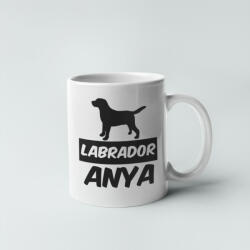 Labrador retriever anya bögre (labrador_anya_bogre)