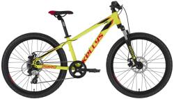 Kellys Marc 50 24 (2020)