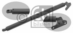 Febi Bilstein Amortizor portbagaj MERCEDES GL-CLASS (X164) (2006 - 2012) FEBI BILSTEIN 29338