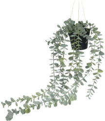 Home Styling Collection Plantă artificială suspendată, 56 cm (317221070-lightgreen)