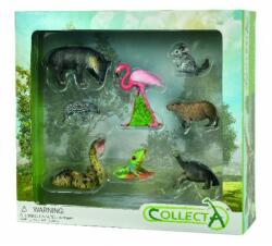 CollectA Set 8 figurine pictate manual Wild Life, 3 ani+ (COL84098WB)