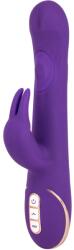 Vibe Couture Rabbit Quiver Purple Vibrator