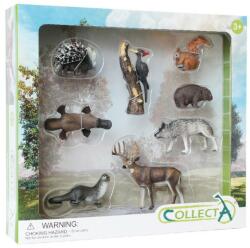 CollectA Set de 8 figurine pictate manual Woodlands, 3 ani+ (COL84168WB)