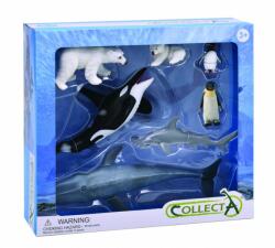 CollectA Set 7 figurine pictate manual Animale Antarctica, 3 ani+ (COL84203WB)
