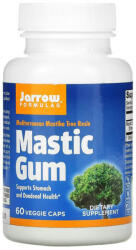 Jarrow Formulas Mastic Gum (Guma de Mastic), Jarrow Formulas, 60 capsule