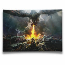 Dragon Fight - Vászonkép (547591)