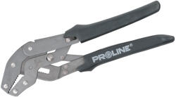 PROLINE 28797