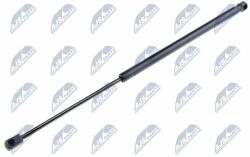NTY Amortizor portbagaj NTY AE-FR-006 (AE-FR-006)