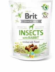 Brit Brit Care Dog Insects cu Iepure si Fenicul, 200 g