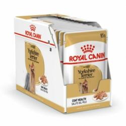 Royal Canin Pachet Royal Canin Yorkshire Adult, 12 Plicuri x 85 g