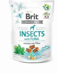 Brit Brit Care Dog Insects cu Ton si Menta, 200 g