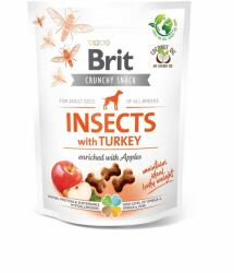 Brit Brit Care Dog Insects cu Curcan si Mere, 200 g