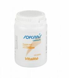 Pasteur Sofcanis Canin Vitalite, 100 comprimate