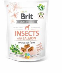 Brit Brit Care Dog Insects cu Somon si Cimbru, 200 g