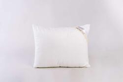  Bamboo kispárna 40x50 cm