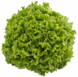 Syngenta Seminte de salata verde Oleole, 5000 seminte SYNGENTA (HCTG00475)