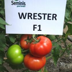 Bayer Seminte de tomate Wrestler F1, 500 seminte (HCTG00431)