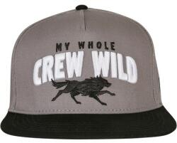 Cayler & Sons Crew Wild Cap grey/black