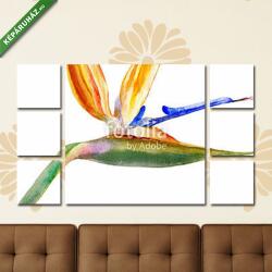 Többrészes Vászonkép, Premium Kollekció: Bird of paradise flower, Strelitzia reginae, crane flower hand d(135x80 cm, W01)