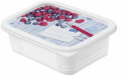 Rotho Fagyasztó doboz készlet 4 x 500 ml (1755110234)