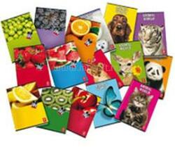 Pigna Fruits A4 42lapos tűzött kockás füzet (P1111-0385) (P1111-0385)