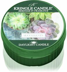 Kringle Candle Succulents teamécses 42 g