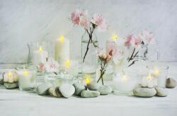  10 LEDes világító falikép rózsaszín virágos köves 60x40cm 00875