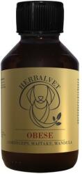 HerbalVet Obese Bio extract de ciuperci medicinale 100 ml