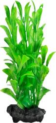 Tetra Hygrophila plantă ornamentală pentru acvariu (L | 30 x 9 cm)