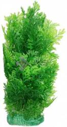 Plantă de acvariu înaltă, verde, cu frunze ramificate (30 cm)