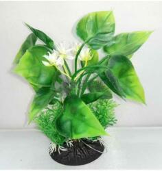 Plantă de acvariu cu frunze mari în formă de inimă, flori albe și mici plante verzi (12 cm)
